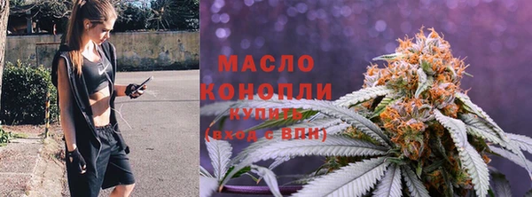 твердый Арсеньев
