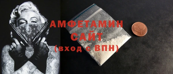 твердый Арсеньев